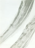 DEBRE (Olivier) | Lithographie originale pour L'Ecclésiaste (38 x 55 cm).
