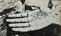 SKIRA | Skira, bulletin trimestriel n° 5 (avril 1967).