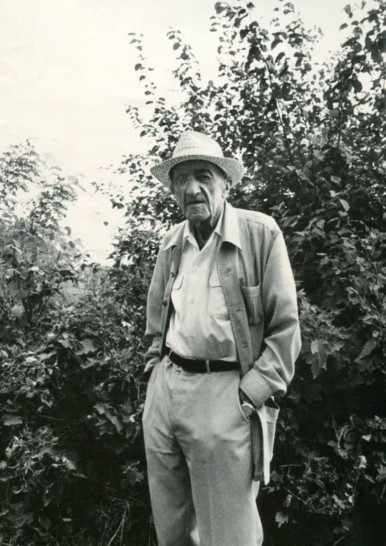 DHOTEL (André). | Portrait photographique par Bruno de Monès. Photographie originale d'André Dhôtel