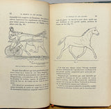 GASTE (Maurice de). | Le modèle et les allures. Nouvelle édition revue et augmentée.