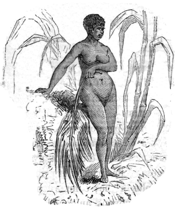 MERCIER DE COMPIEGNE. | Éloge du sein des femmes.