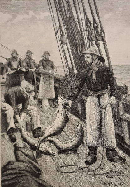 LOTI (Pierre). | Pêcheur d'Islande.